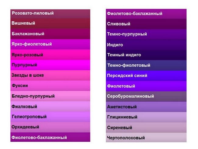 Ефектні фіолетові сумки, як з їх допомогою створювати стильні образи