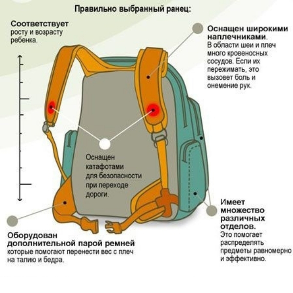 Модні і практичні рюкзаки для чоловіків, жінок і дітей, тренди сезону