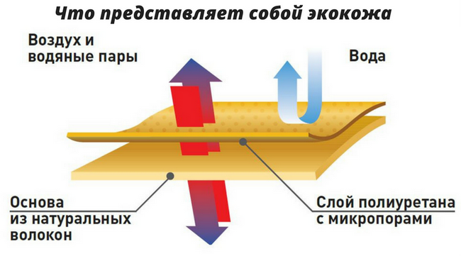 Що таке екошкіра, її застосування при пошитті сумок, правила догляду