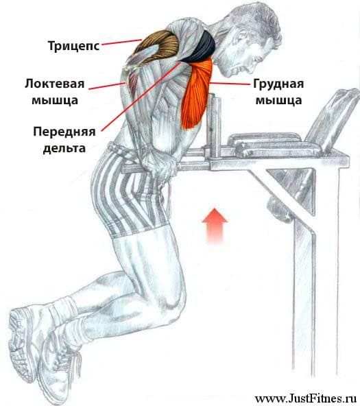 Вправи на грудні м'язи для чоловіків в тренажерному залі