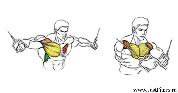Вправи на грудні м'язи для чоловіків в тренажерному залі