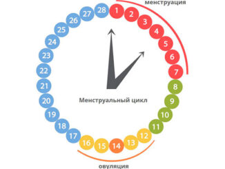 менструальный цикл